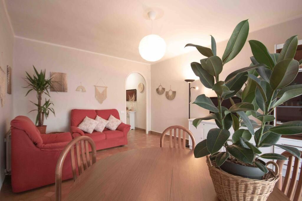 Lc Apartaments Av Del Mar 卡斯特利翁-德拉普拉纳 外观 照片