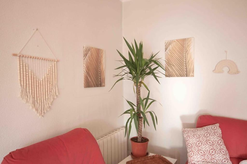 Lc Apartaments Av Del Mar 卡斯特利翁-德拉普拉纳 外观 照片